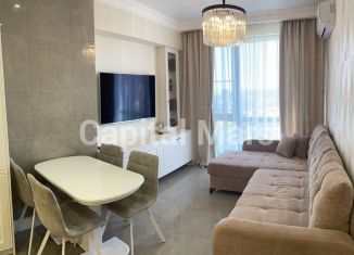 Сдача в аренду 2-ком. квартиры, 48 м2, Сочи, переулок Горького, 24к1