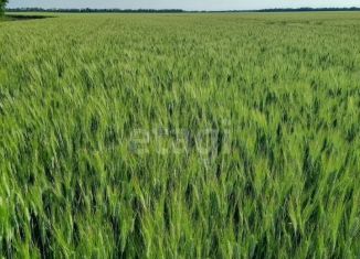 Земельный участок на продажу, 8300 сот., село Девица, Фабричная улица