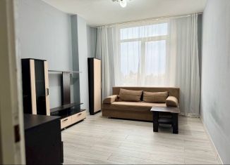 Сдам в аренду 2-ком. квартиру, 50 м2, Сочи, Виноградная улица, 206