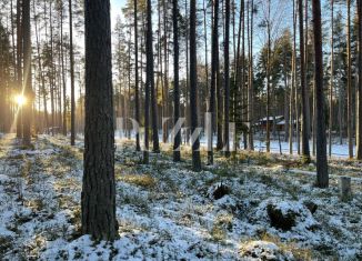 Продаю земельный участок, 25 сот., деревня Варшко, Сосновая улица, 3