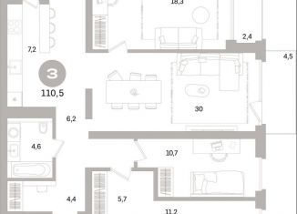 Продажа 3-комнатной квартиры, 110.5 м2, Санкт-Петербург, метро Зенит