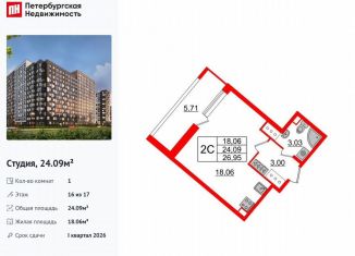 Продам квартиру студию, 24.1 м2, Санкт-Петербург, муниципальный округ Невский