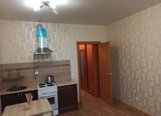 Сдача в аренду квартиры студии, 25 м2, Кудрово, Австрийская улица, 4к1