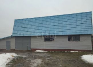 Дом на продажу, 261.5 м2, поселок городского типа Рамешки, Заводская улица