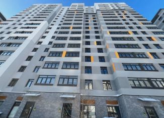 Продам квартиру студию, 27 м2, деревня Патрушева, улица Александра Пушкина, 8А