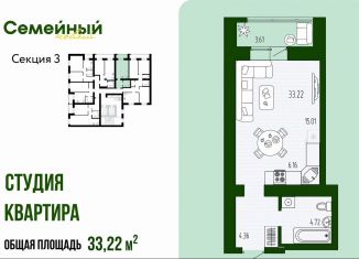 Продается квартира студия, 33.2 м2, село Засечное, улица Натальи Лавровой, с14/2