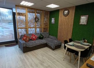 Сдаю в аренду дом, 45 м2, Санкт-Петербург, Железнодорожная улица, 1А, Красносельский район