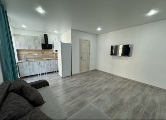 Сдам в аренду однокомнатную квартиру, 40 м2, станица Тамань, улица 8-я Гвардейская, 89