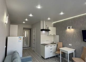 Продается квартира студия, 22 м2, Чебоксары, Московский проспект, 7