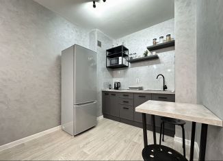 Сдается 1-ком. квартира, 40 м2, посёлок Парголово, улица Шишкина, 303к1