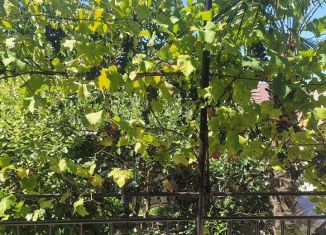 Продаю гараж, 24 м2, Можга, Центральная площадь