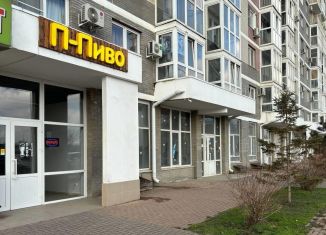 Помещение свободного назначения на продажу, 74 м2, Краснодар, улица Западный Обход, 65/1