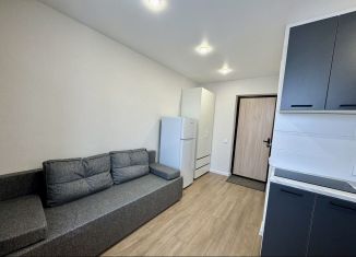 Сдаю в аренду квартиру студию, 20 м2, Казань, улица Гарифьянова, 25