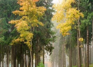 Участок на продажу, 28.5 сот., деревня Бородки