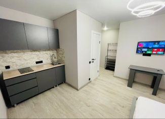 Сдается квартира студия, 23 м2, Котельники, Сосновая улица, 2к1, ЖК Белые Росы