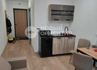 Сдается в аренду квартира студия, 24 м2, Екатеринбург, улица Новостроя, 9, Чкаловский район