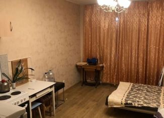 Сдается квартира студия, 26 м2, Сертолово, Любимая улица, 5