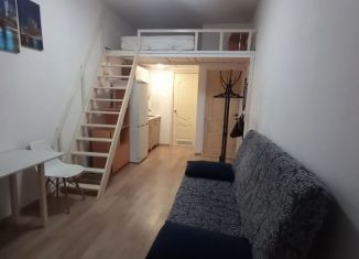 Аренда квартиры студии, 25 м2, Пермский край, улица Чайковского, 35