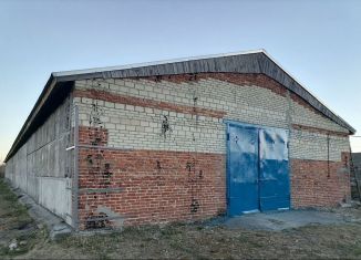 Сдача в аренду складского помещения, 1700 м2, Пензенская область, Ломовская улица, 4