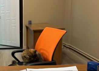 Офис в аренду, 17 м2, Махачкала, улица Радищева, 4, Советский внутригородской район