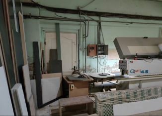 Сдам в аренду производство, 67 м2, Новгородская область, Нехинская улица, 57с5