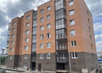 Продается 2-комнатная квартира, 55.2 м2, посёлок Солонцы, Новая улица, 1Б