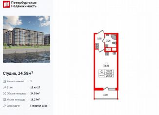 Продаю квартиру студию, 24.6 м2, Санкт-Петербург, метро Улица Дыбенко