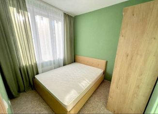 Продается 2-ком. квартира, 33.5 м2, Красноярск, Свердловский район, улица Лесников, 43Б