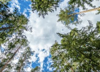 Продаю земельный участок, 12.1 сот., деревня Шульгино, Лесная улица