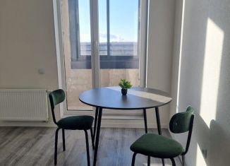 Сдача в аренду 1-комнатной квартиры, 37.5 м2, посёлок Парголово, Михайловская дорога, 16к3
