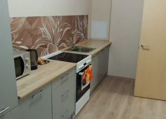 Сдача в аренду однокомнатной квартиры, 34 м2, посёлок Парголово, Брюлловская улица, 3, ЖК Континенты
