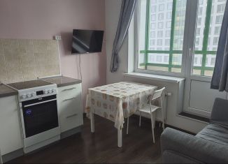 Продам 1-ком. квартиру, 32 м2, Мурино, Ручьёвский проспект, 9