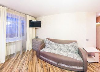 Аренда 1-комнатной квартиры, 50 м2, Новосибирская область, улица Блюхера, 4