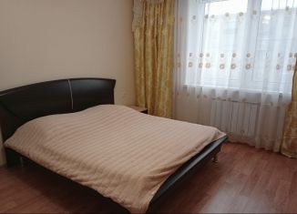 1-комнатная квартира в аренду, 40 м2, Челябинск, Новороссийская улица, 118, Ленинский район