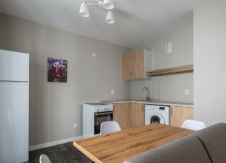 Сдаю 3-ком. квартиру, 55 м2, поселок Бугры, Гаражный проезд, 27к1