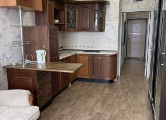 Сдается в аренду квартира студия, 29 м2, Мытищи, улица Академика Каргина, 36Б, ЖК Отрадный