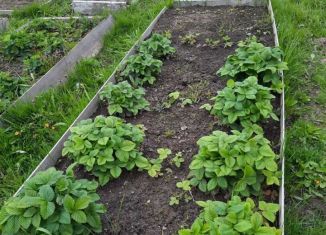 Продаю дачу, 30 м2, Кострома, Центральный район