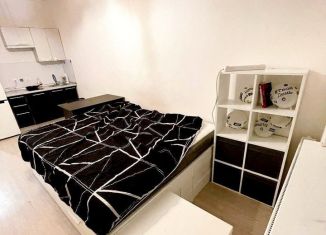 Квартира в аренду студия, 23 м2, поселок Бугры, Воронцовский бульвар, 11к5, ЖК Светлановский