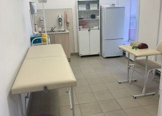 Сдача в аренду офиса, 44 м2, Новосибирск, улица Кропоткина, 132, Калининский район