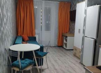 Сдам в аренду квартиру студию, 23 м2, Краснодар, 5-я Дорожная улица, микрорайон Молодёжный