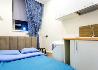 Квартира в аренду студия, 16 м2, Санкт-Петербург, 8-я Красноармейская улица, 18, 8-я Красноармейская улица