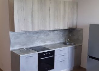 Сдаю в аренду квартиру студию, 26 м2, Мытищи, Олимпийский проспект, 12, ЖК Отрадный