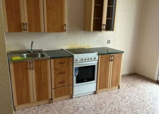 Сдается 1-комнатная квартира, 40 м2, Воронеж, Московский проспект, 213, ЖК Грин Парк