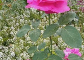 Продажа дачи, 16 м2, СДТ Теплоэнергетик