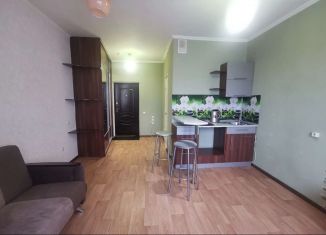 Продается квартира студия, 25 м2, Абакан, улица Маршала Жукова, 89