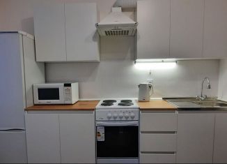 Сдается в аренду однокомнатная квартира, 32 м2, поселок Бугры, Гаражный проезд, 23к3, ЖК Новые Горизонты