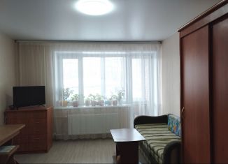 Квартира на продажу студия, 24.2 м2, деревня Пирогово, Северная улица, 25, ЖК Йогурт
