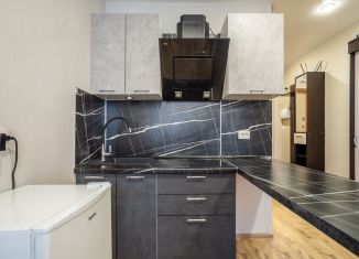 Квартира на продажу студия, 22.4 м2, посёлок Парголово, Толубеевский проезд, 8к2