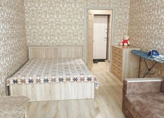 Сдача в аренду 1-ком. квартиры, 48 м2, Пензенская область, улица Плеханова, 14