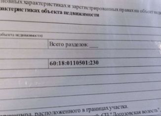 Земельный участок на продажу, 26 сот., деревня Дуброво